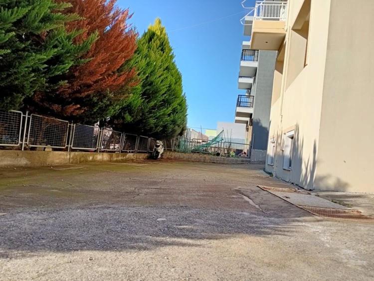 Semi-Basement 250M From Sea, Nea Chili Apartment Александруполис Екстериор снимка