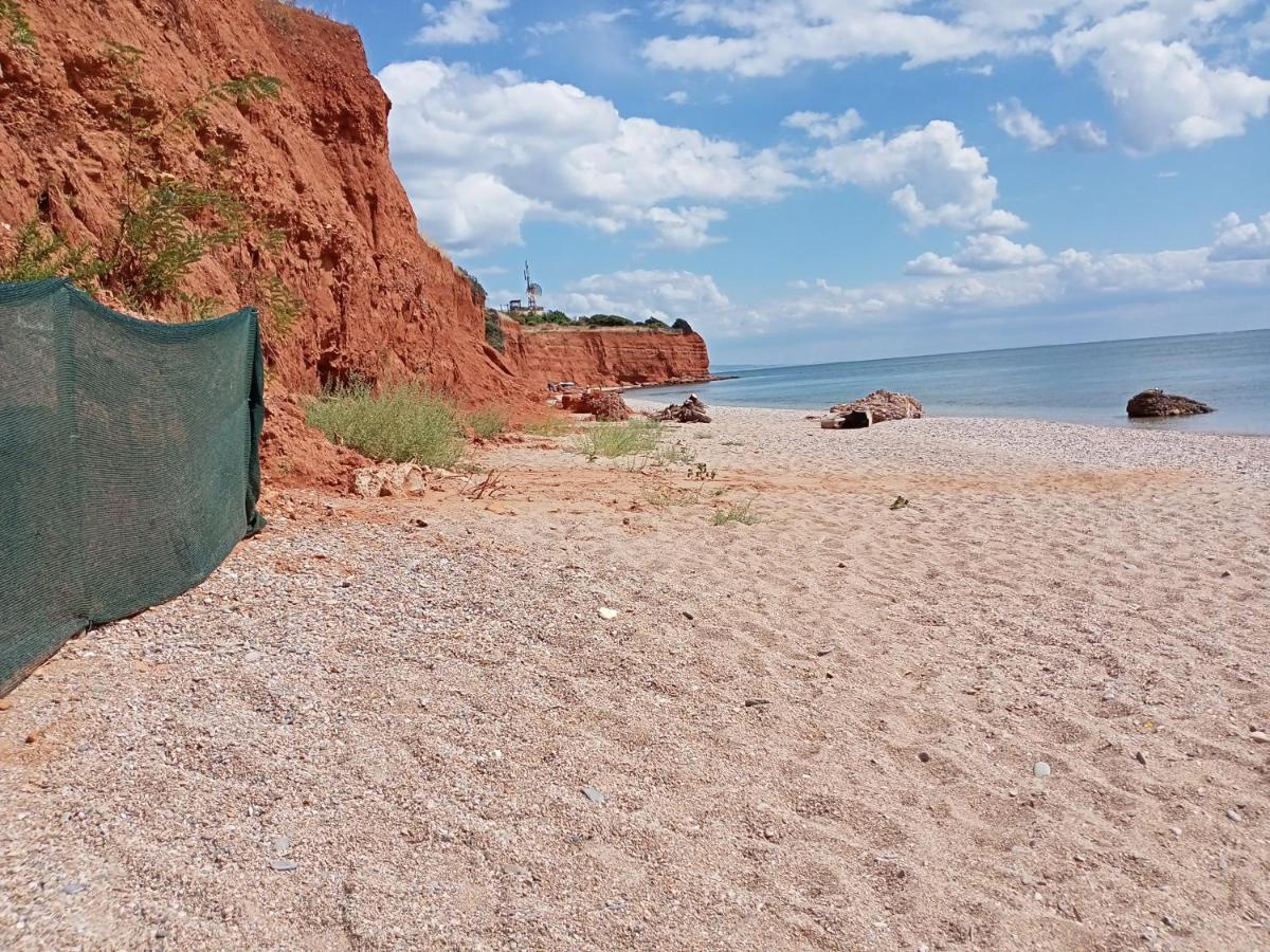 Semi-Basement 250M From Sea, Nea Chili Apartment Александруполис Екстериор снимка