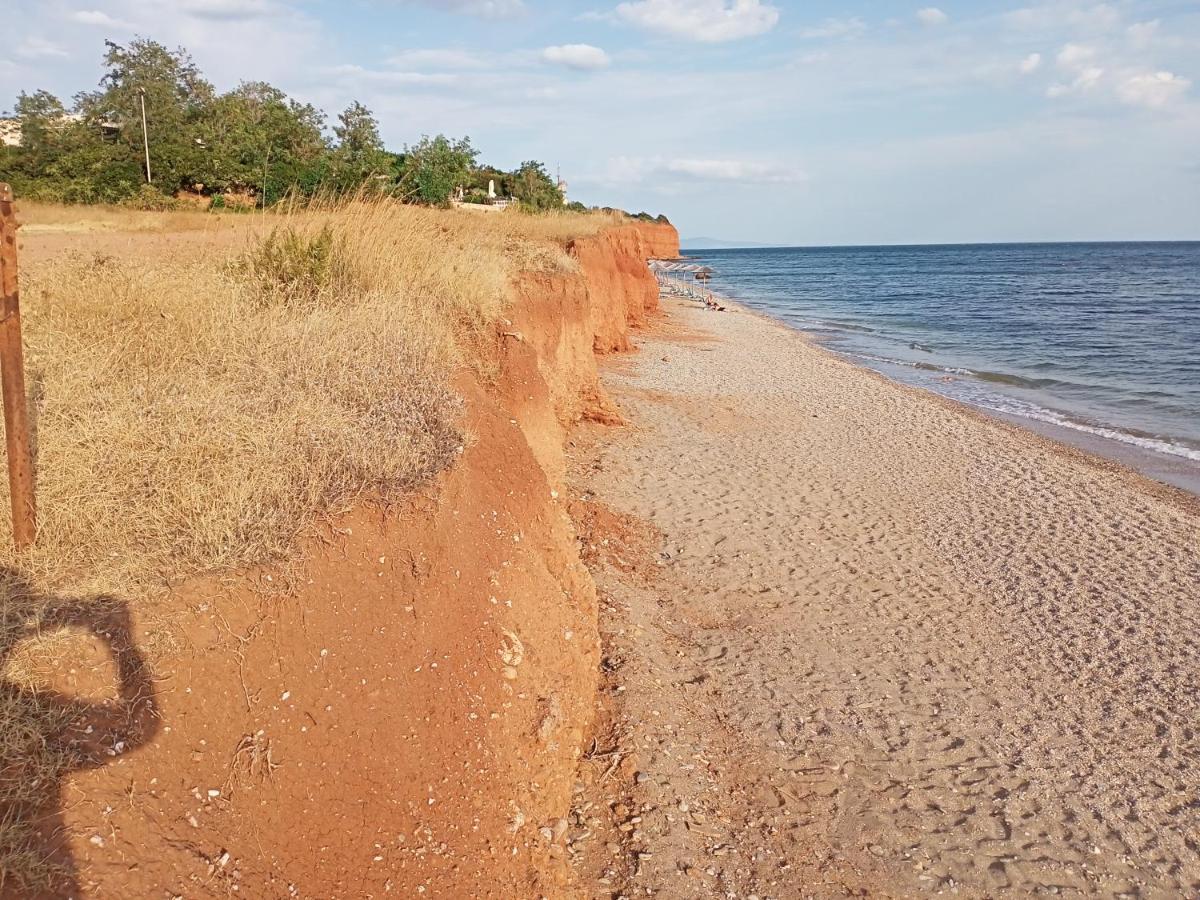 Semi-Basement 250M From Sea, Nea Chili Apartment Александруполис Екстериор снимка
